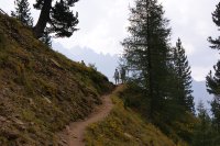 Trail Hirzel